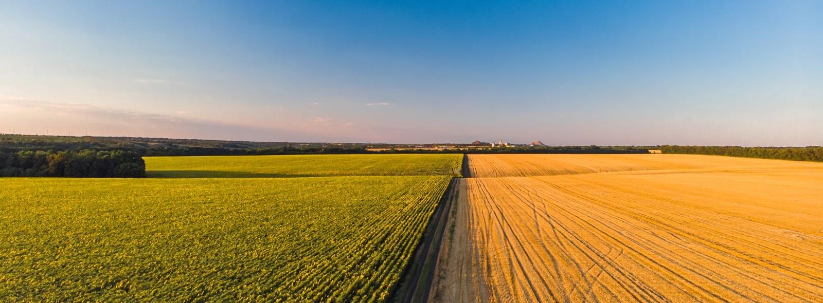 1/04 - Seminario "Domini collettivi, territorio, pratiche agricole e forestali sostenibili"