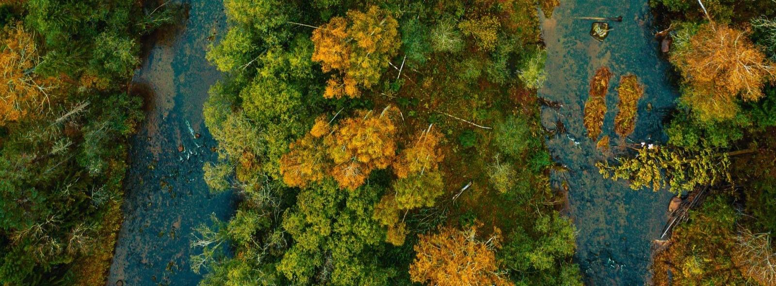 23/03 - All'incontro MEIC “Agroecosistemi e corridoi ecologici per la Pace” intervengono la ricercatrice Irene Pellegrino e il ricercatore Alberto Doretto