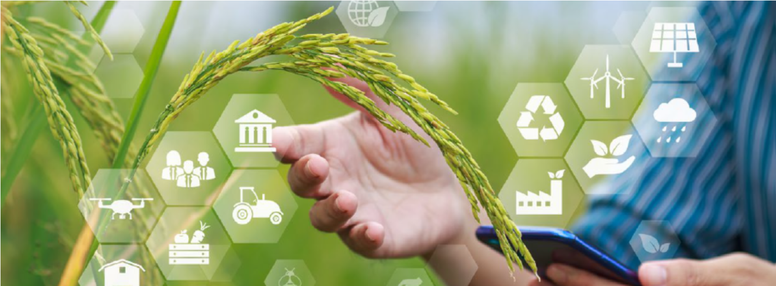 13 e 14/09 - Il DISSTE organizza la conferenza internazionale su innovazione, sostenibilità e nutrizione nell’ambito di Risò 2026